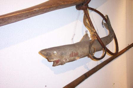 &copy; Zierfischfreunde Immenhausen-Holzhausen