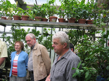 &copy; Zierfischfreunde Immenhausen-Holzhausen