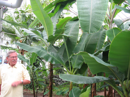 &copy; Zierfischfreunde Immenhausen-Holzhausen