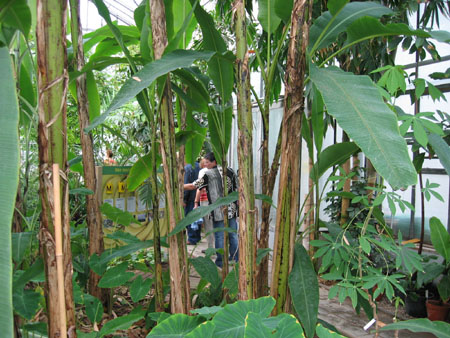 &copy; Zierfischfreunde Immenhausen-Holzhausen