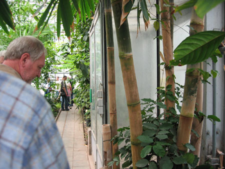 &copy; Zierfischfreunde Immenhausen-Holzhausen