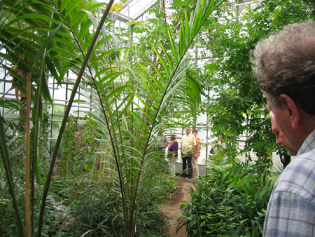 &copy; Zierfischfreunde Immenhausen-Holzhausen