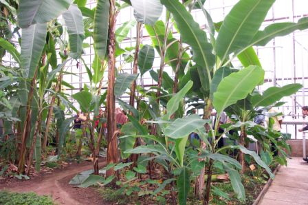 &copy; Zierfischfreunde Immenhausen-Holzhausen