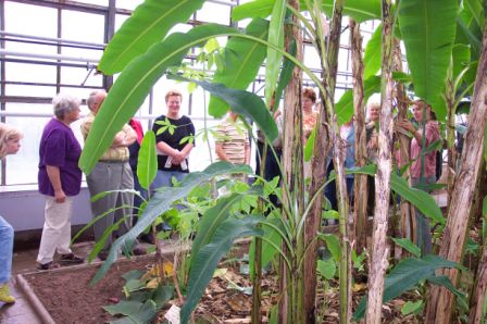 &copy; Zierfischfreunde Immenhausen-Holzhausen