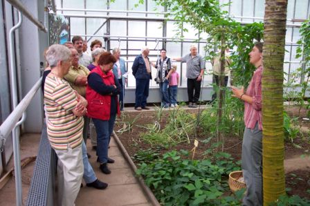 &copy; Zierfischfreunde Immenhausen-Holzhausen