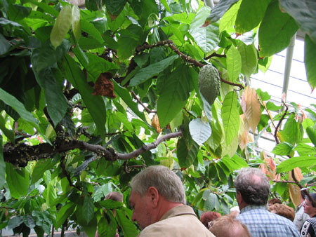 &copy; Zierfischfreunde Immenhausen-Holzhausen