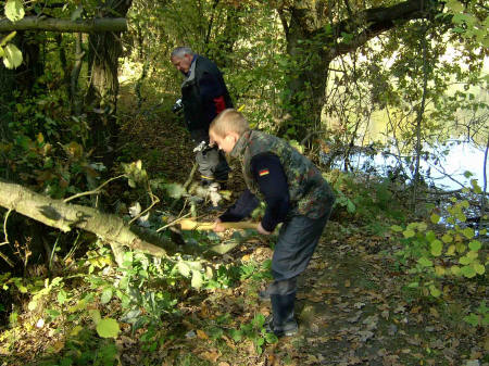 &copy; Zierfischfreunde Immenhausen-Holzhausen