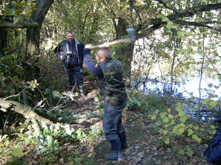 &copy; Zierfischfreunde Immenhausen-Holzhausen