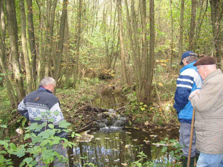 &copy; Zierfischfreunde Immenhausen-Holzhausen