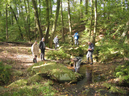 &copy; Zierfischfreunde Immenhausen-Holzhausen