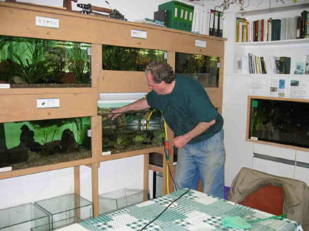 &copy; Zierfischfreunde Immenhausen-Holzhausen