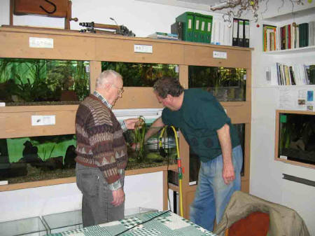 &copy; Zierfischfreunde Immenhausen-Holzhausen