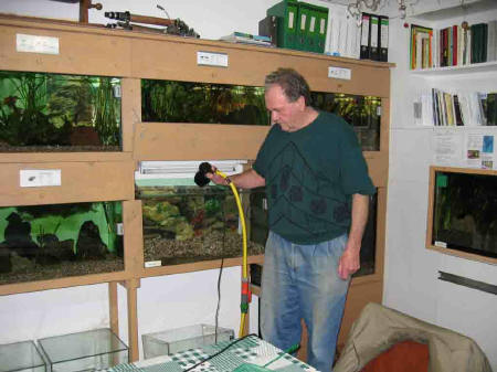 &copy; Zierfischfreunde Immenhausen-Holzhausen