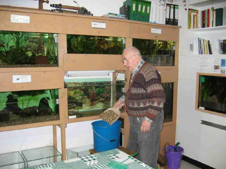 &copy; Zierfischfreunde Immenhausen-Holzhausen