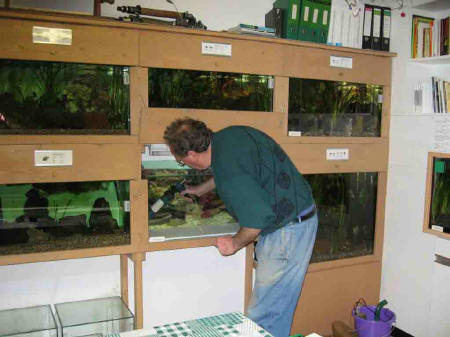 &copy; Zierfischfreunde Immenhausen-Holzhausen