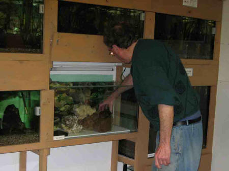 &copy; Zierfischfreunde Immenhausen-Holzhausen