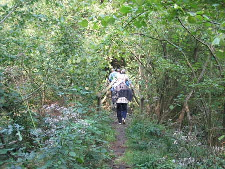 &copy; Zierfischfreunde Immenhausen-Holzhausen