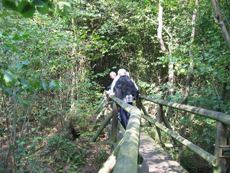 &copy; Zierfischfreunde Immenhausen-Holzhausen