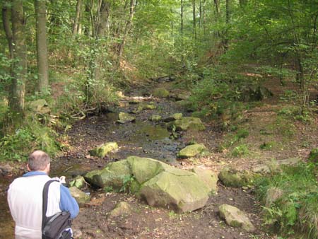 &copy; Zierfischfreunde Immenhausen-Holzhausen