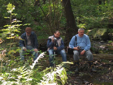 &copy; Zierfischfreunde Immenhausen-Holzhausen