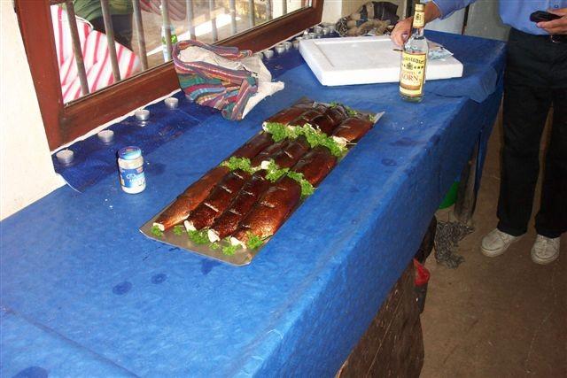 &copy; Zierfischfreunde Immenhausen-Holzhausen