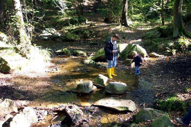 &copy; Zierfischfreunde Immenhausen-Holzhausen