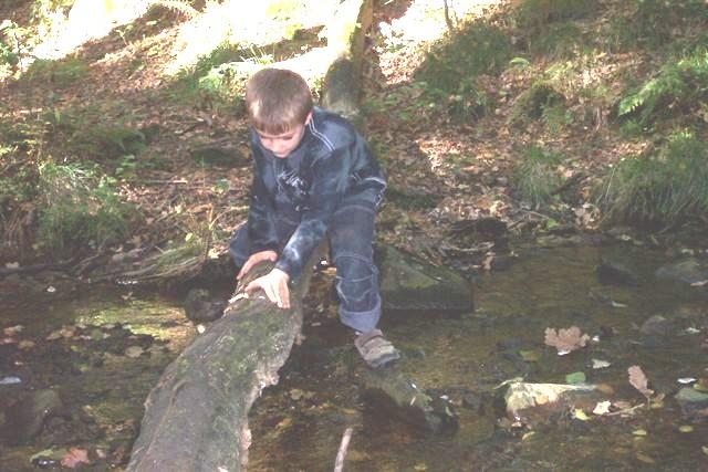 &copy; Zierfischfreunde Immenhausen-Holzhausen