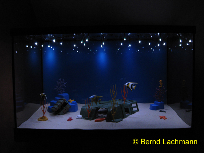 © Zierfischfreunde Immenhausen-Holzhausen