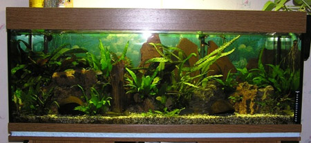 Familie Schmidt Aufgenommen am 7.3.2005