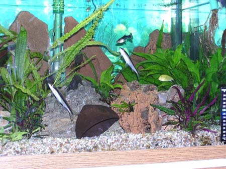 Familie Schmidt Aufgenommen am 7.3.2005