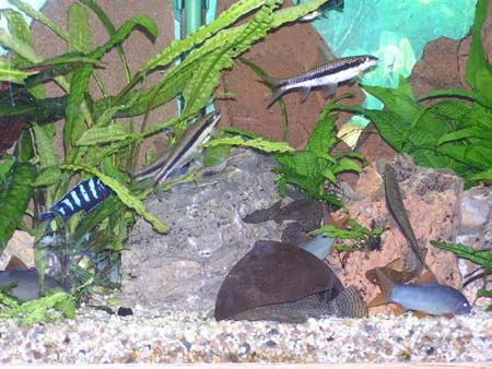 Familie Schmidt Aufgenommen am 7.3.2005