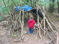 &copy; Zierfischfreunde Immenhausen-Holzhausen