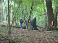 &copy; Zierfischfreunde Immenhausen-Holzhausen