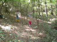 &copy; Zierfischfreunde Immenhausen-Holzhausen