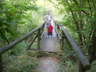 &copy; Zierfischfreunde Immenhausen-Holzhausen