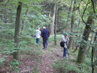 &copy; Zierfischfreunde Immenhausen-Holzhausen