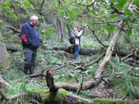 &copy; Zierfischfreunde Immenhausen-Holzhausen