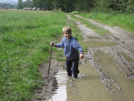 &copy; Zierfischfreunde Immenhausen-Holzhausen