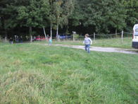 &copy; Zierfischfreunde Immenhausen-Holzhausen