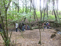 &copy; Zierfischfreunde Immenhausen-Holzhausen