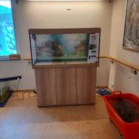 &copy; Zierfischfreunde Immenhausen-Holzhausen