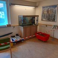 &copy; Zierfischfreunde Immenhausen-Holzhausen