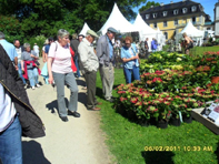 &copy; Zierfischfreunde Immenhausen-Holzhausen