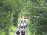 &copy; Zierfischfreunde Immenhausen-Holzhausen